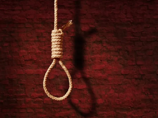 noose